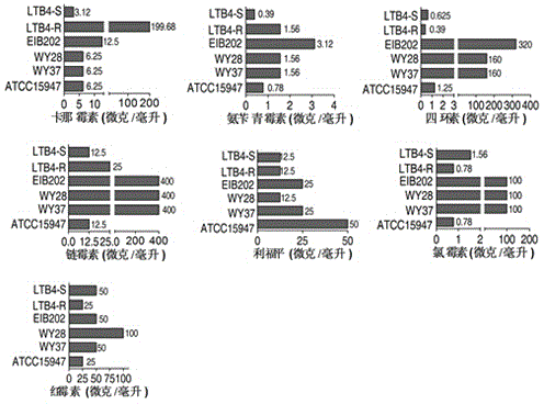 Small molecule metabolite for improving effect of antibiotic to eliminate pathogenic bacteria