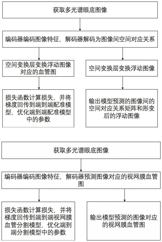 A method and system for multispectral fundus image analysis based on adversarial learning