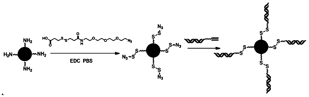 Method for synthesizing and constructing reduction response type miRNA transportation system based on carbon dots