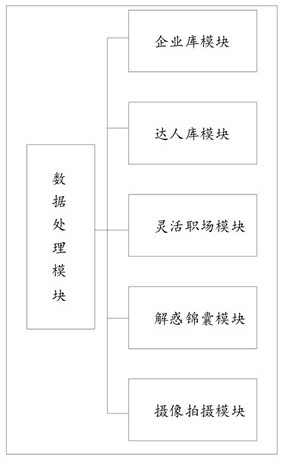 Talent database analysis system and method based on big data