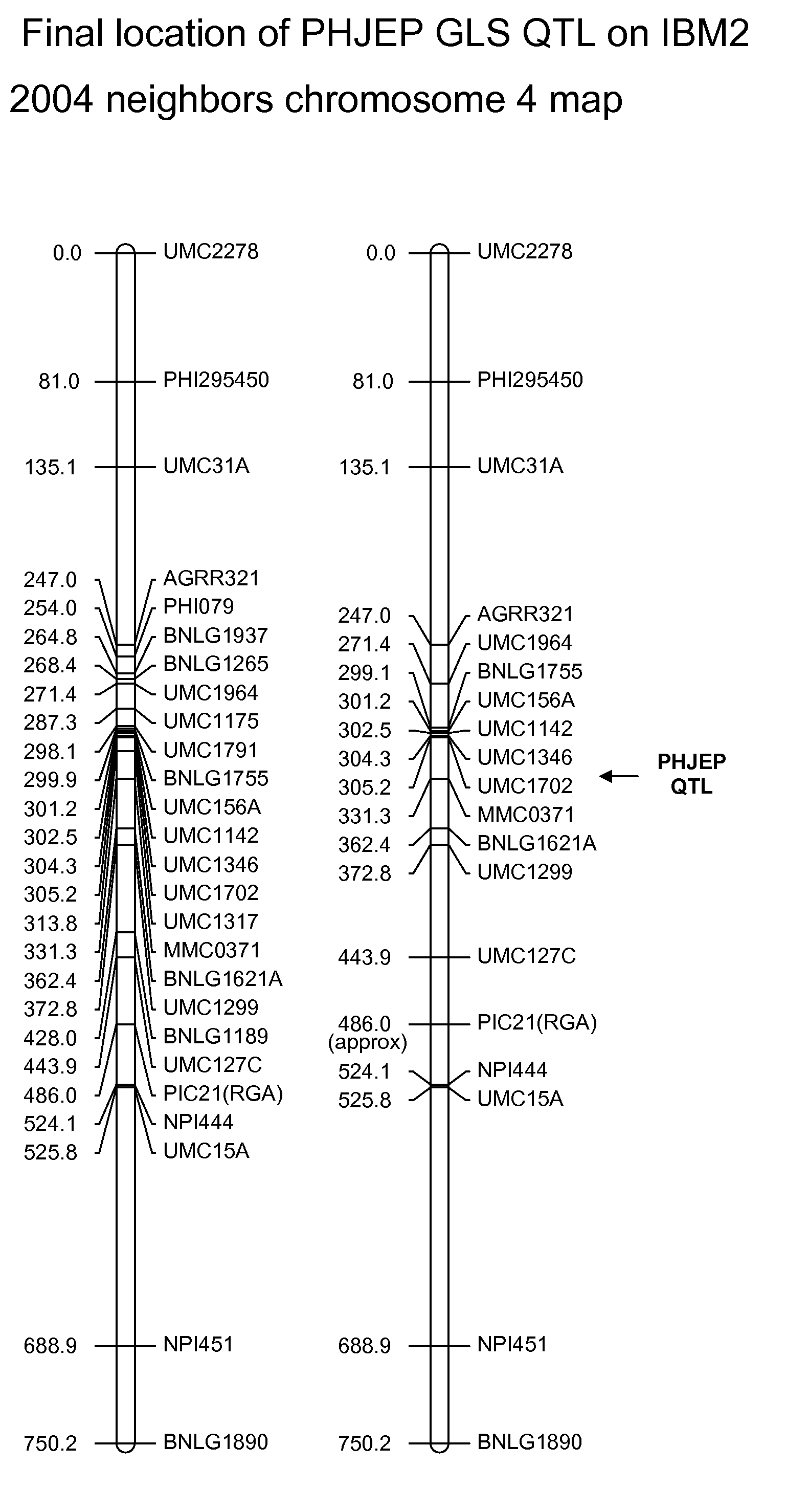 Gray leaf spot tolerant maize and methods of production