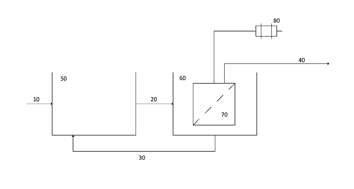 Membrane bioreactor system using reciprocating membrane