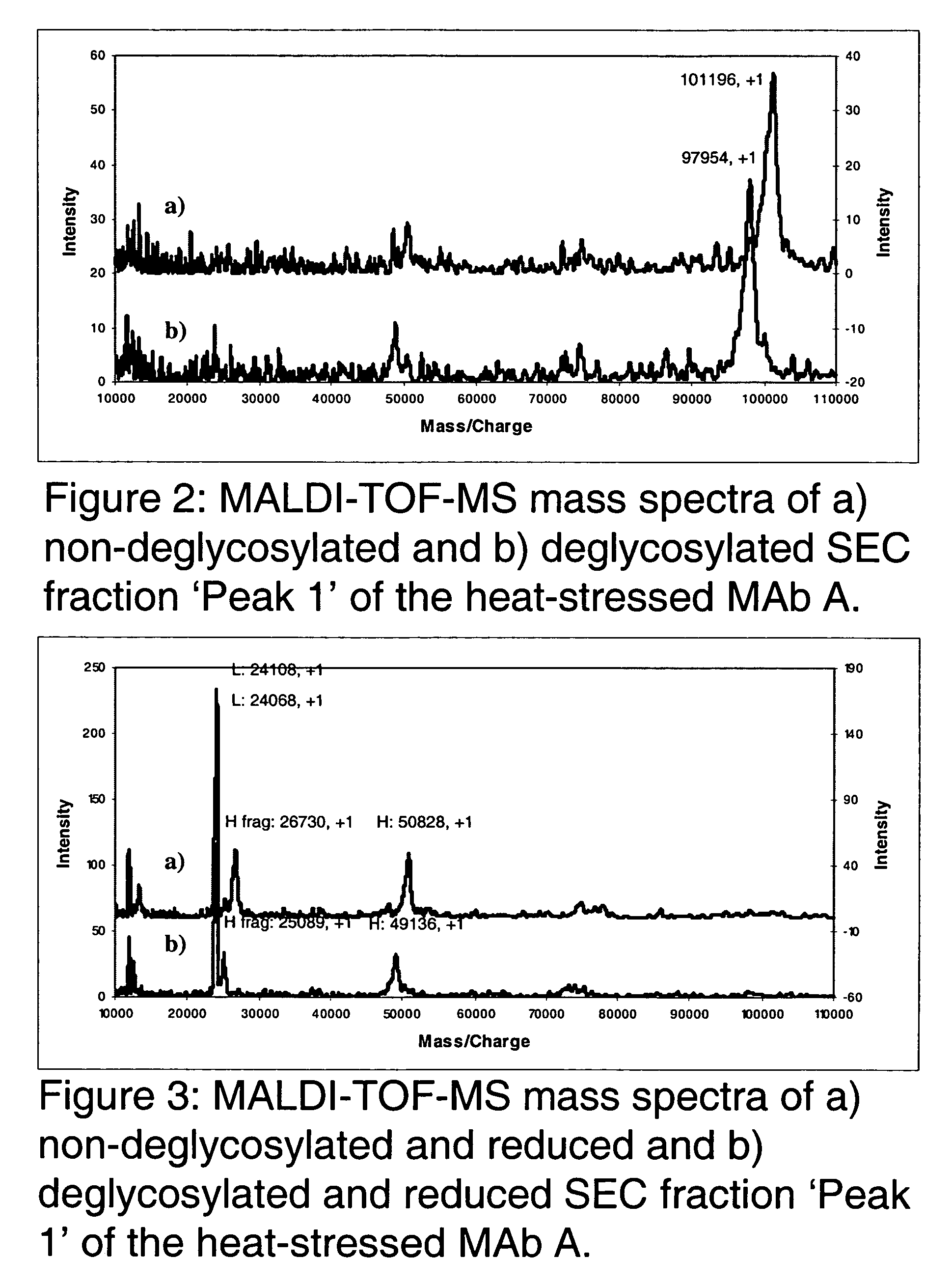 Stabilized immunoglobulins