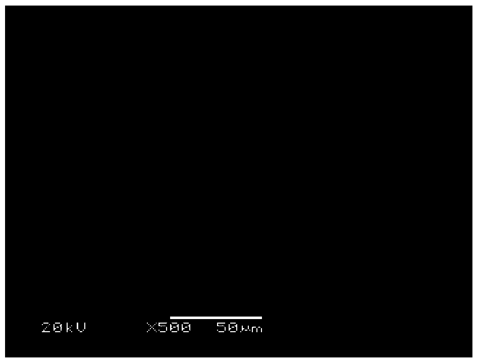 Anti-oxidation material and method for preparing tantalum-tungsten alloy anti-oxidation coating by using it