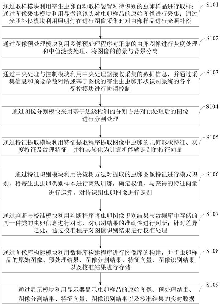 Image-based parasite egg shape recognition system and method