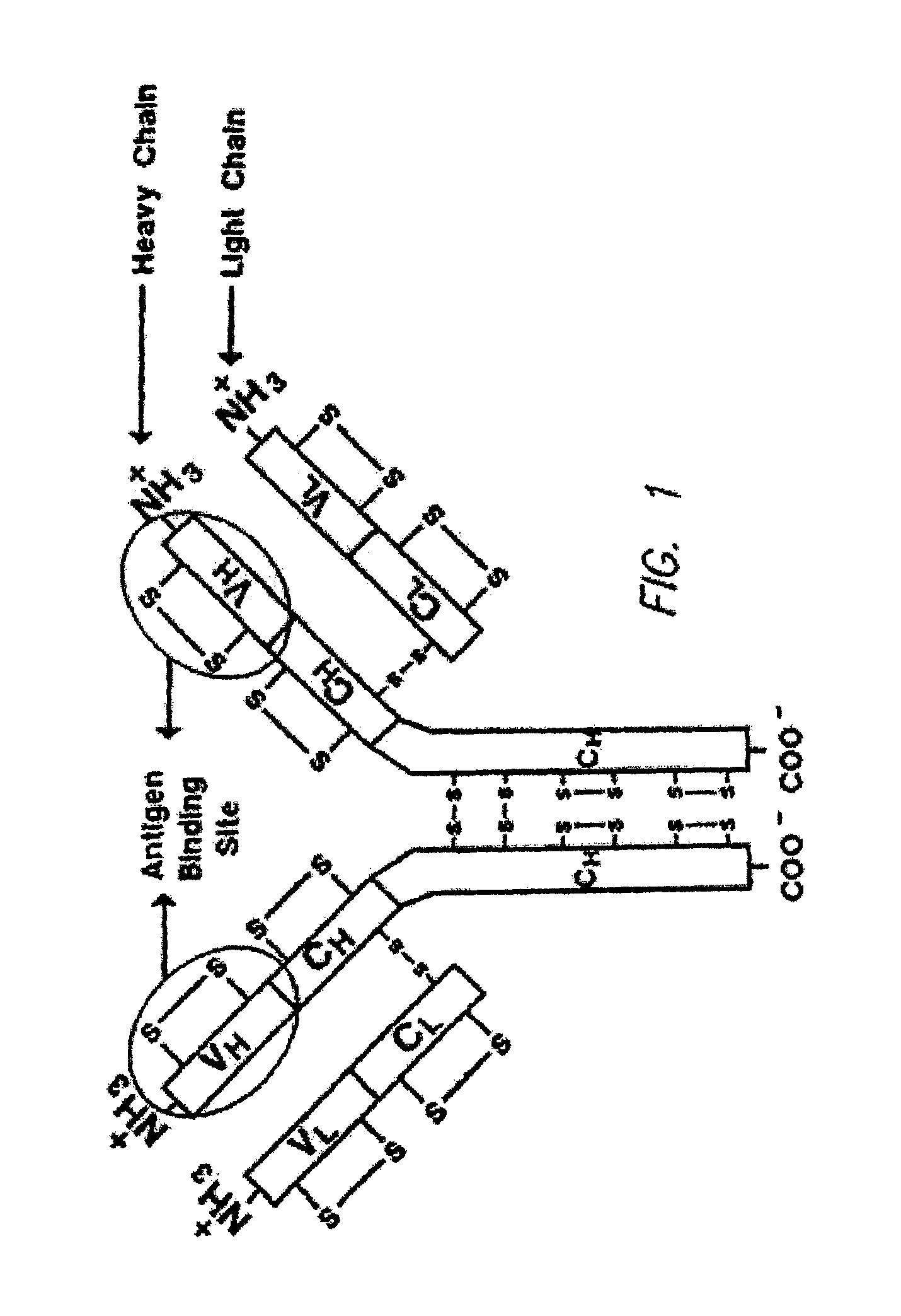 Method for producing polymers having a preselected activity