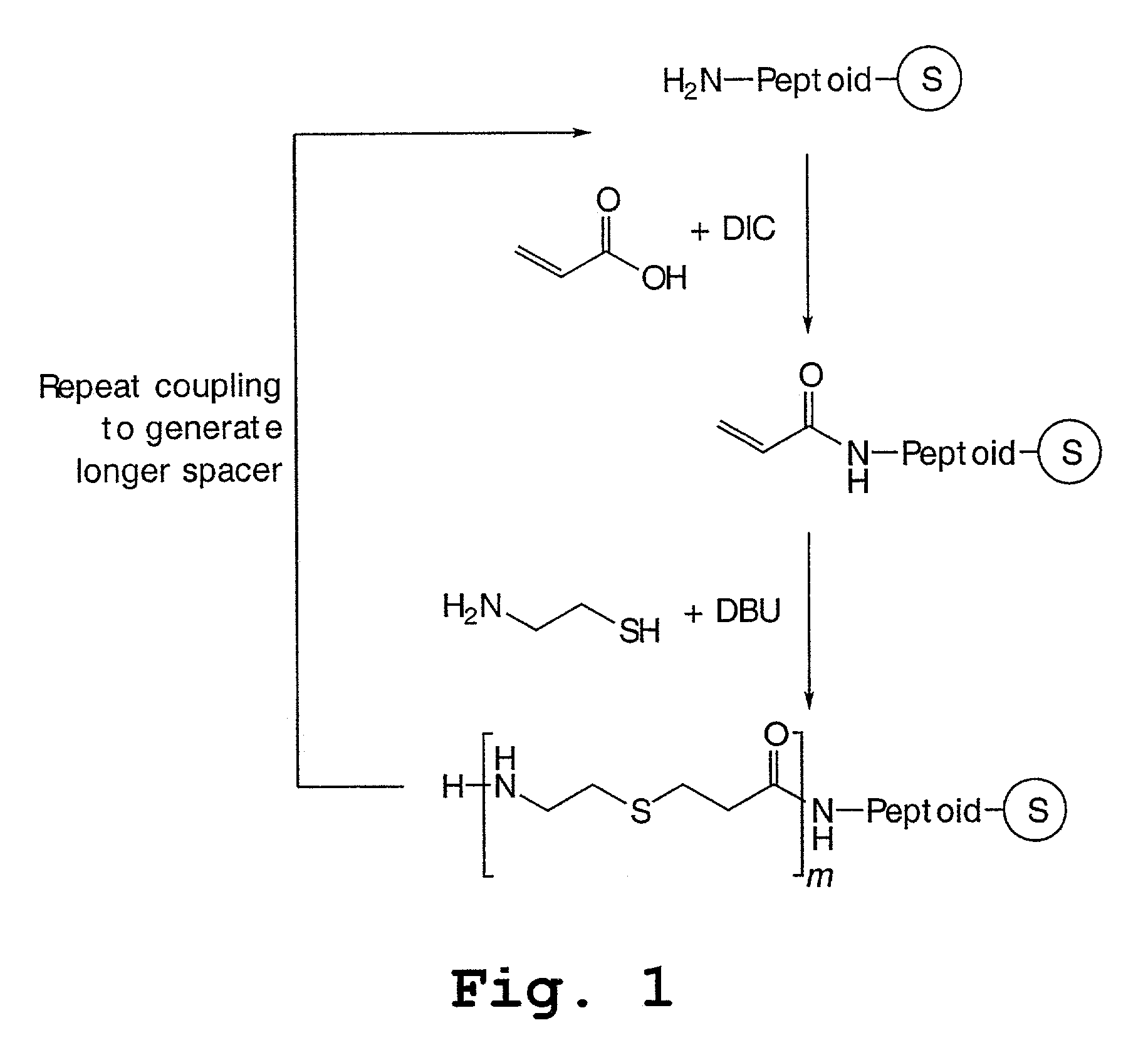 Peptoids incorporating chemoselective functionalities