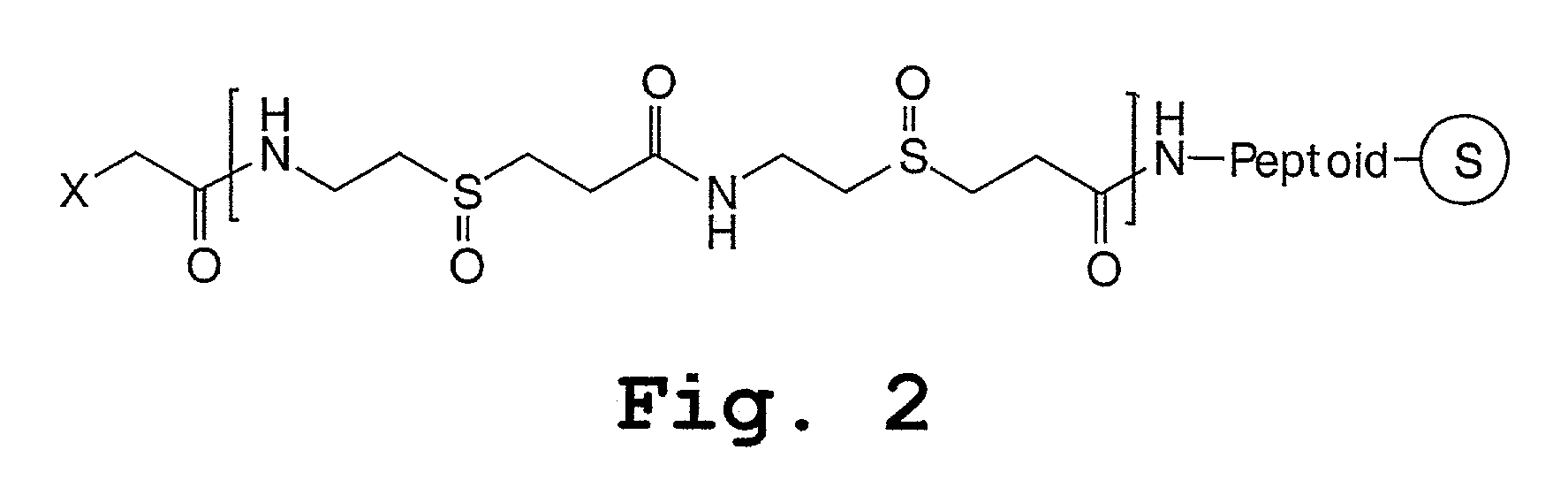 Peptoids incorporating chemoselective functionalities