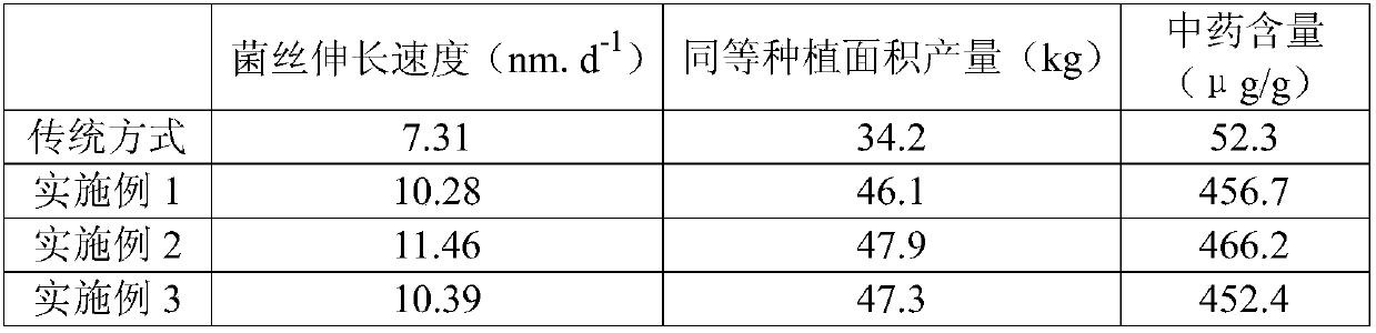 Planting method for golden mushroom rich in traditional Chinese herbal components