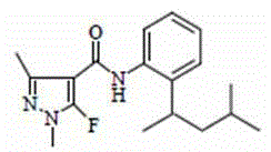 Bactericidal composition containing penflufen and thifluzamide