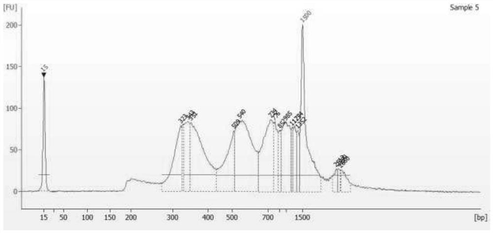 Research method and tool for multi-target protein-DNA interaction