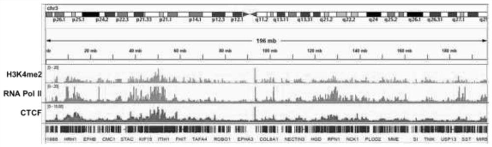 Research method and tool for multi-target protein-DNA interaction