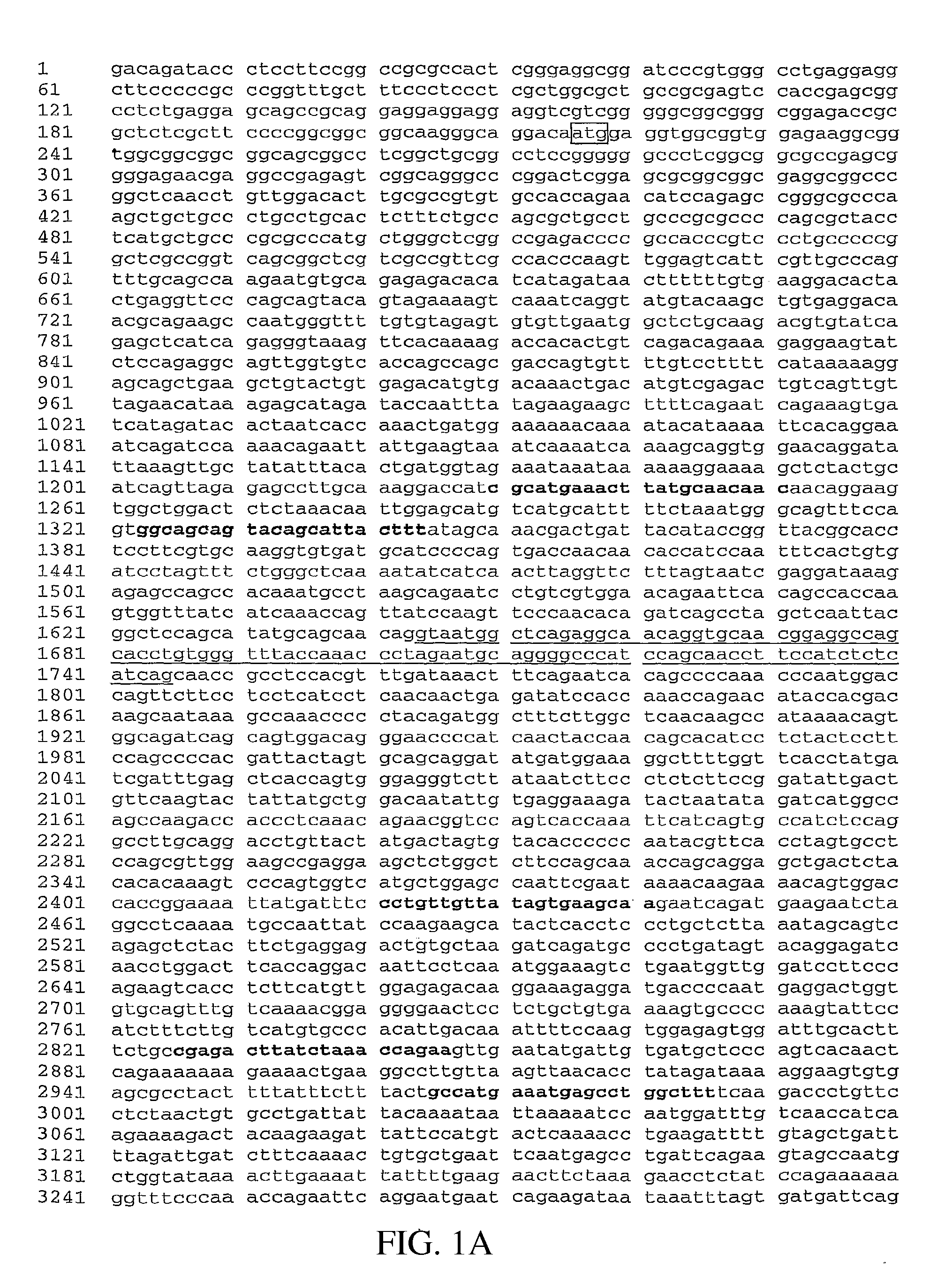 P53 modulator and cancer target