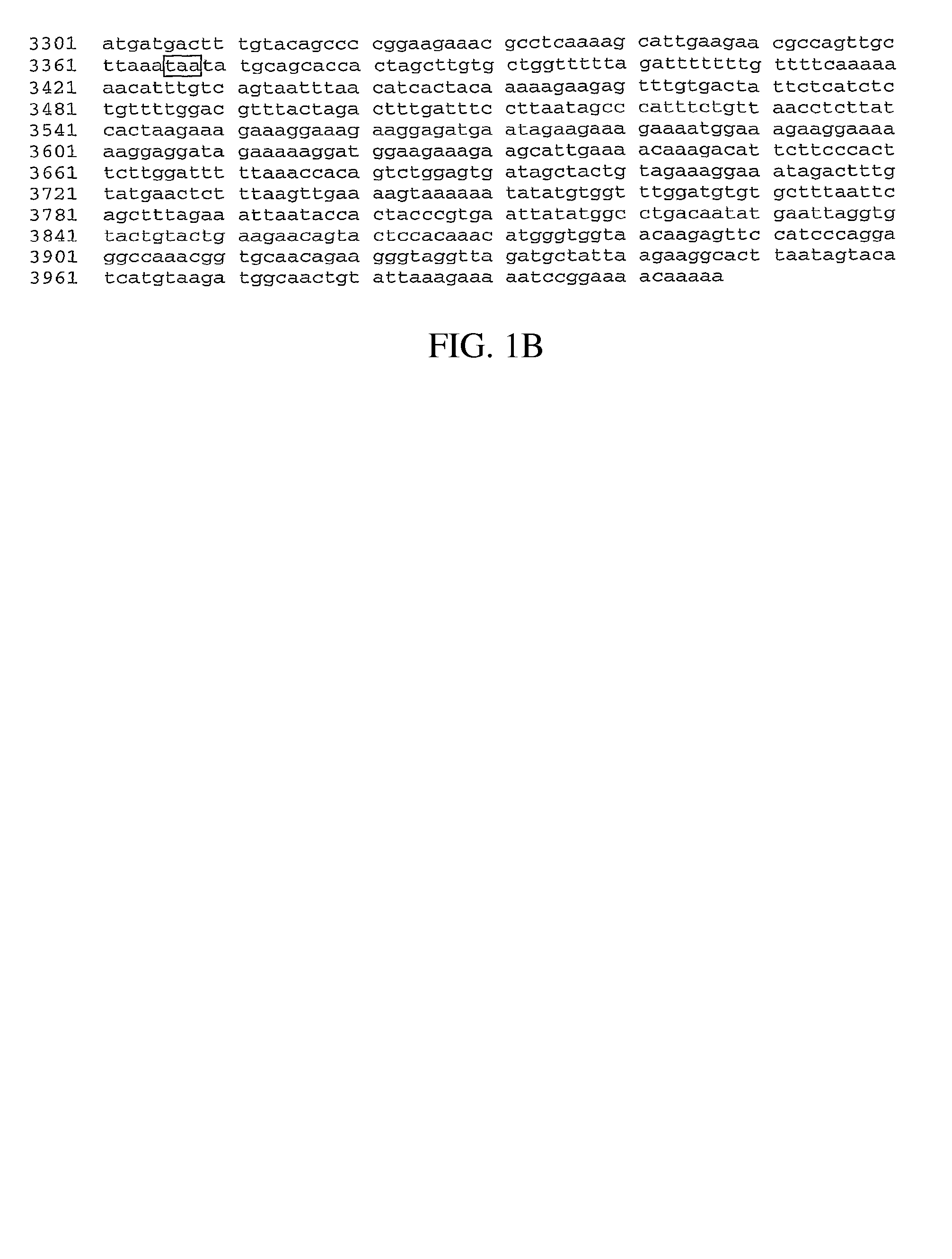 P53 modulator and cancer target