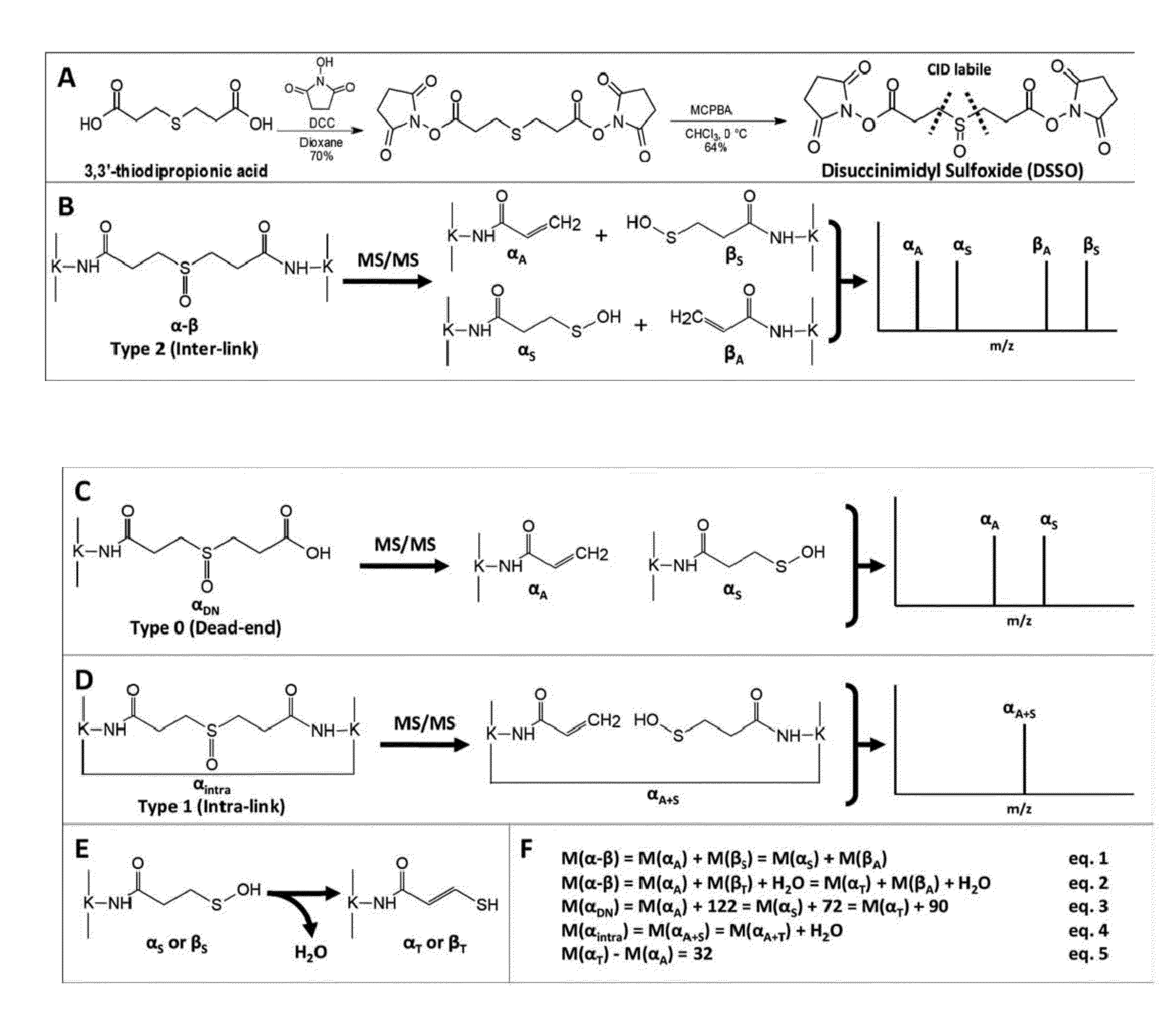 Mass spectrometry-cleavable cross-linking agents to facilitate structural analysis of proteins and protein complexes, and method of using same