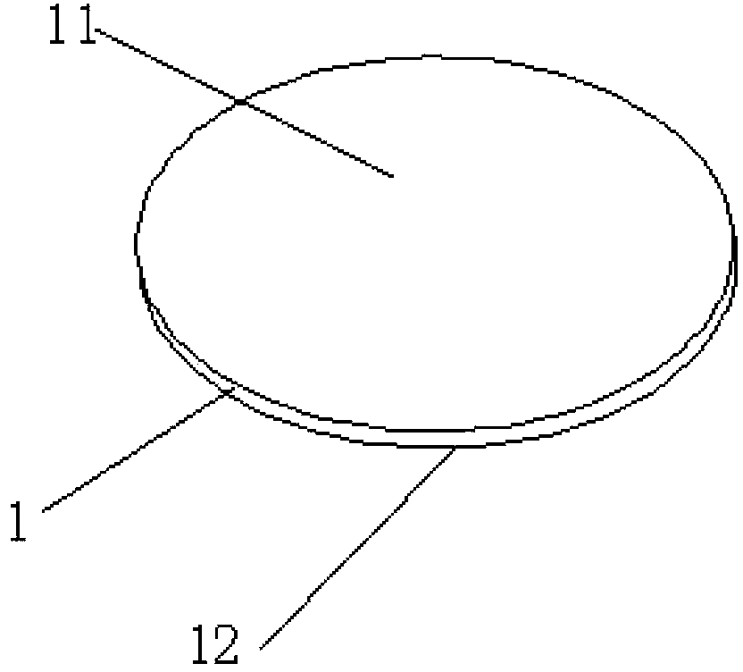 Method for front face protection in back face implantation of semiconductor wafer