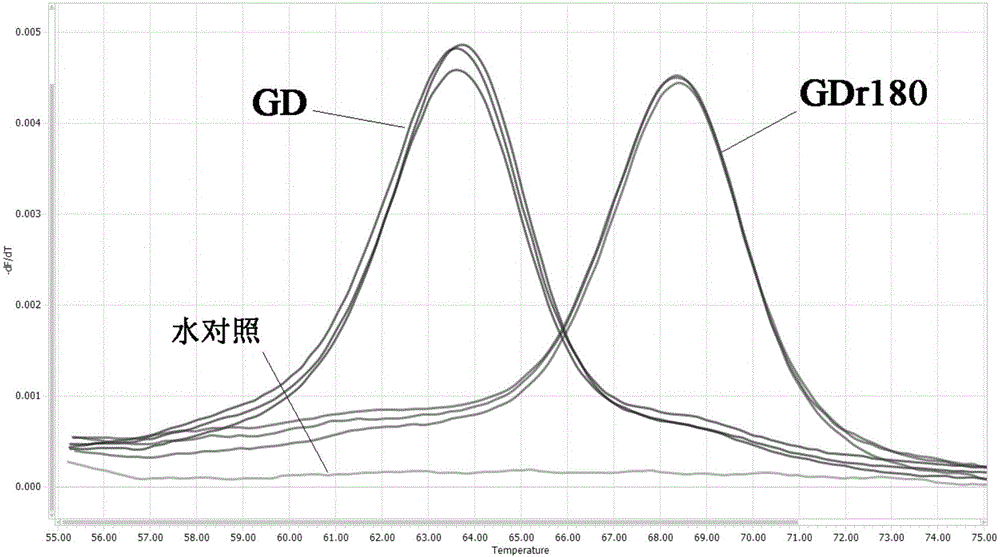 Primers, probe and method for rapidly distinguishing HP-PRRS (High pathogenic porcine reproductive and respiratory syndrome) vaccine strain GDr180 from HP-PRRS wild strain