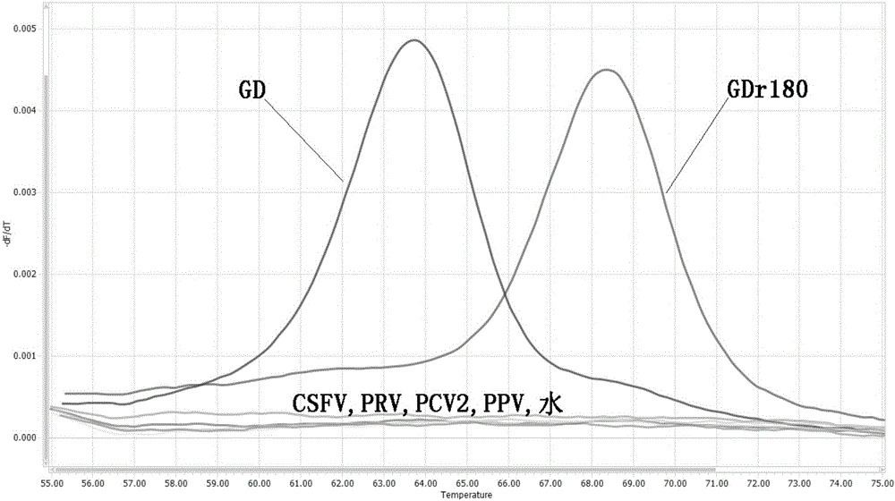 Primers, probe and method for rapidly distinguishing HP-PRRS (High pathogenic porcine reproductive and respiratory syndrome) vaccine strain GDr180 from HP-PRRS wild strain