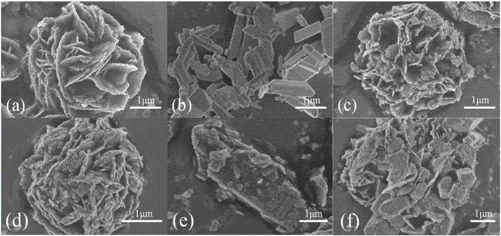 Bismuth tungstate/bismuth phosphate heterojunction photocatalyst and preparation method and application thereof