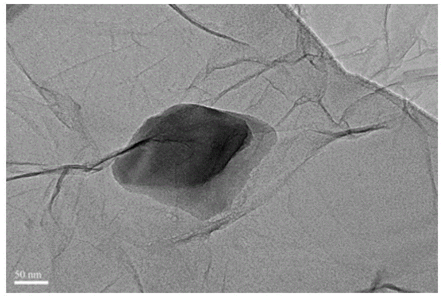 Positive pole material of lithium ion battery and preparation method of positive pole material