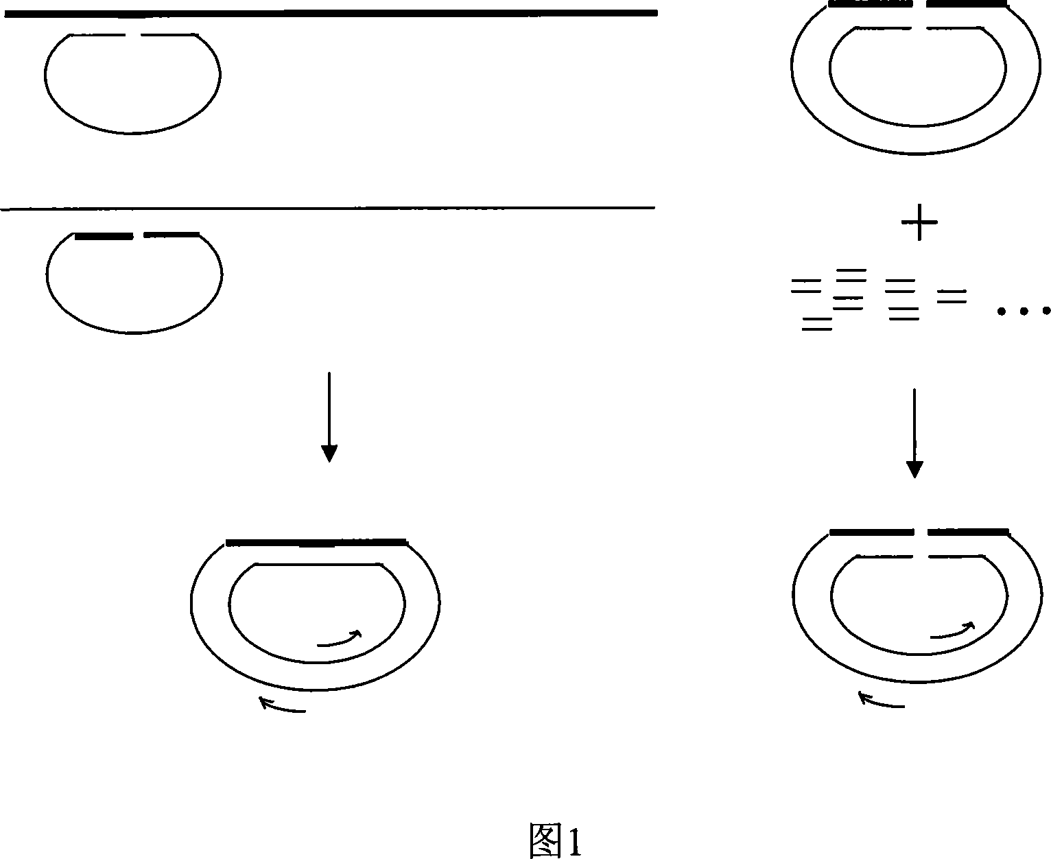 Systemic displacement polymerase lymerase chain reaction