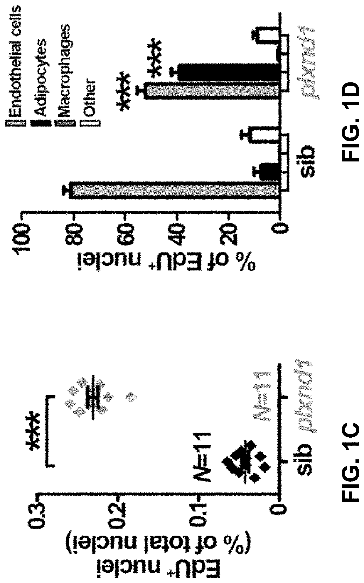 Compositions and Methods for Identifying and Modulating Metabolic Health