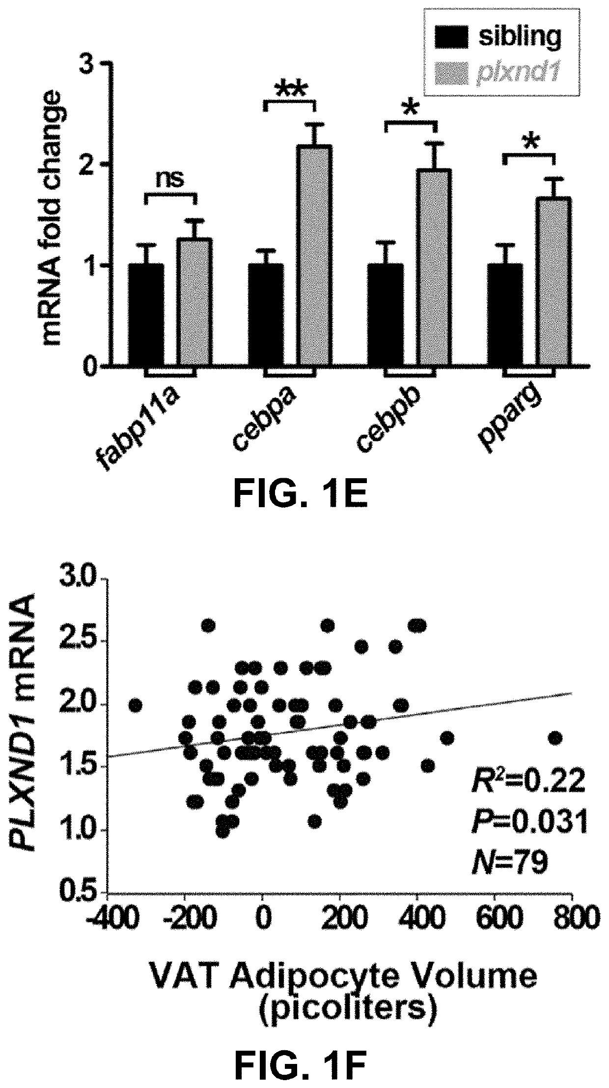 Compositions and Methods for Identifying and Modulating Metabolic Health