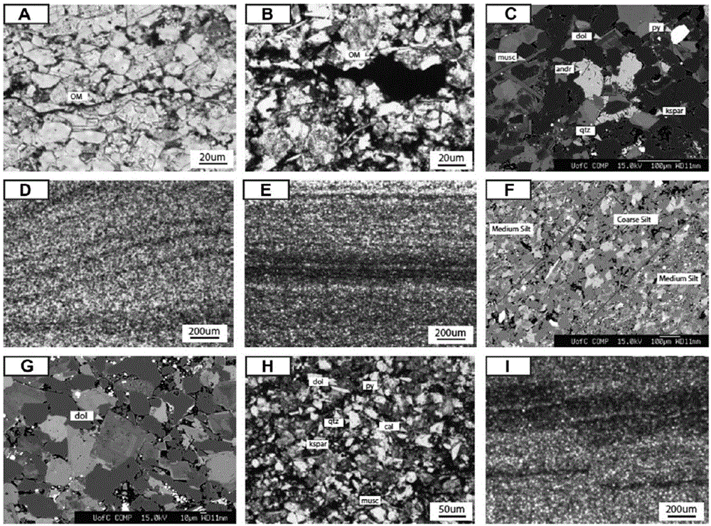 A method and system for measuring reservoir pore structure of tight oil and gas reservoirs