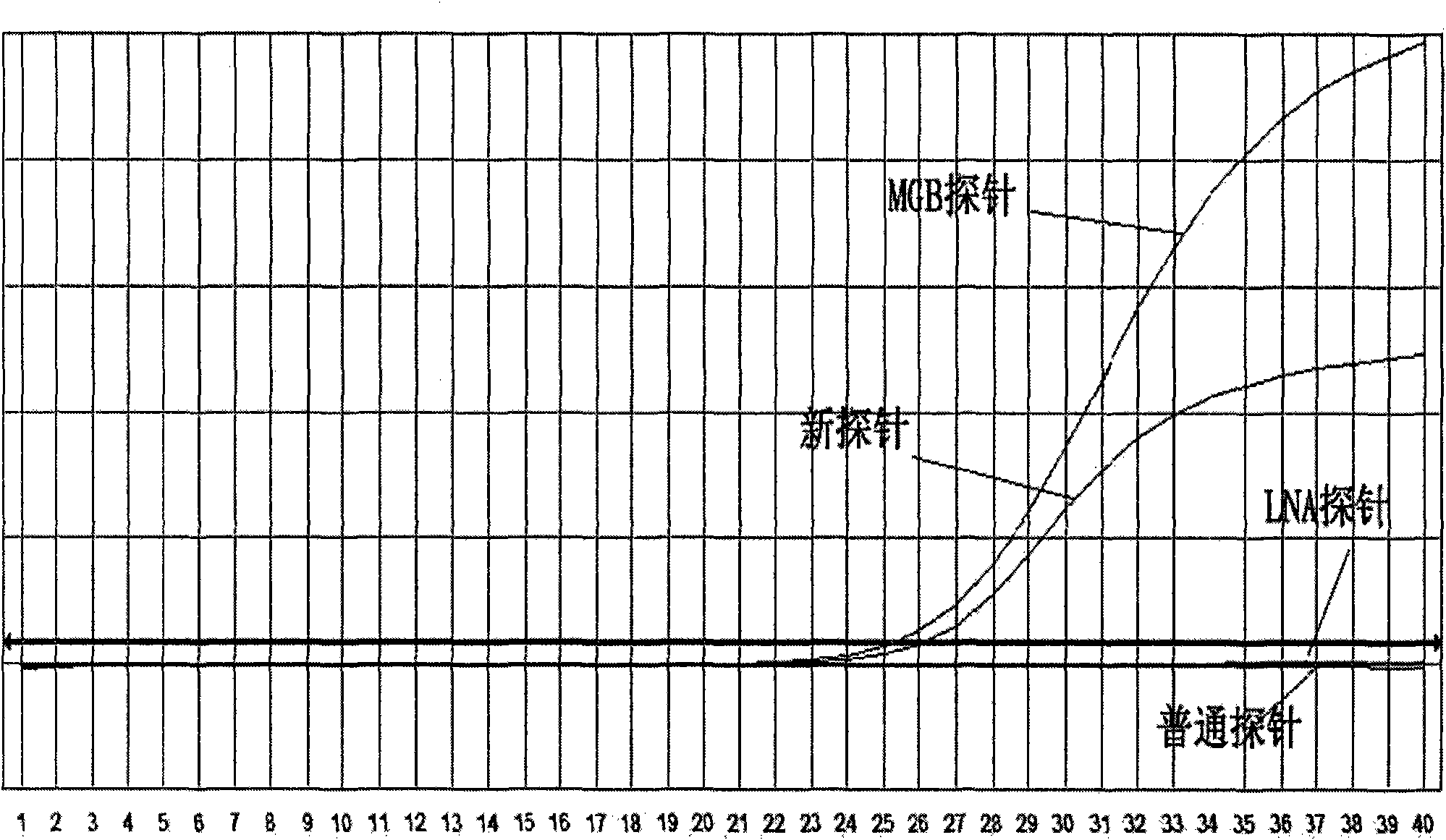 Co-modified nucleic acid segment of locked nucleic acid and minor groove conjugation