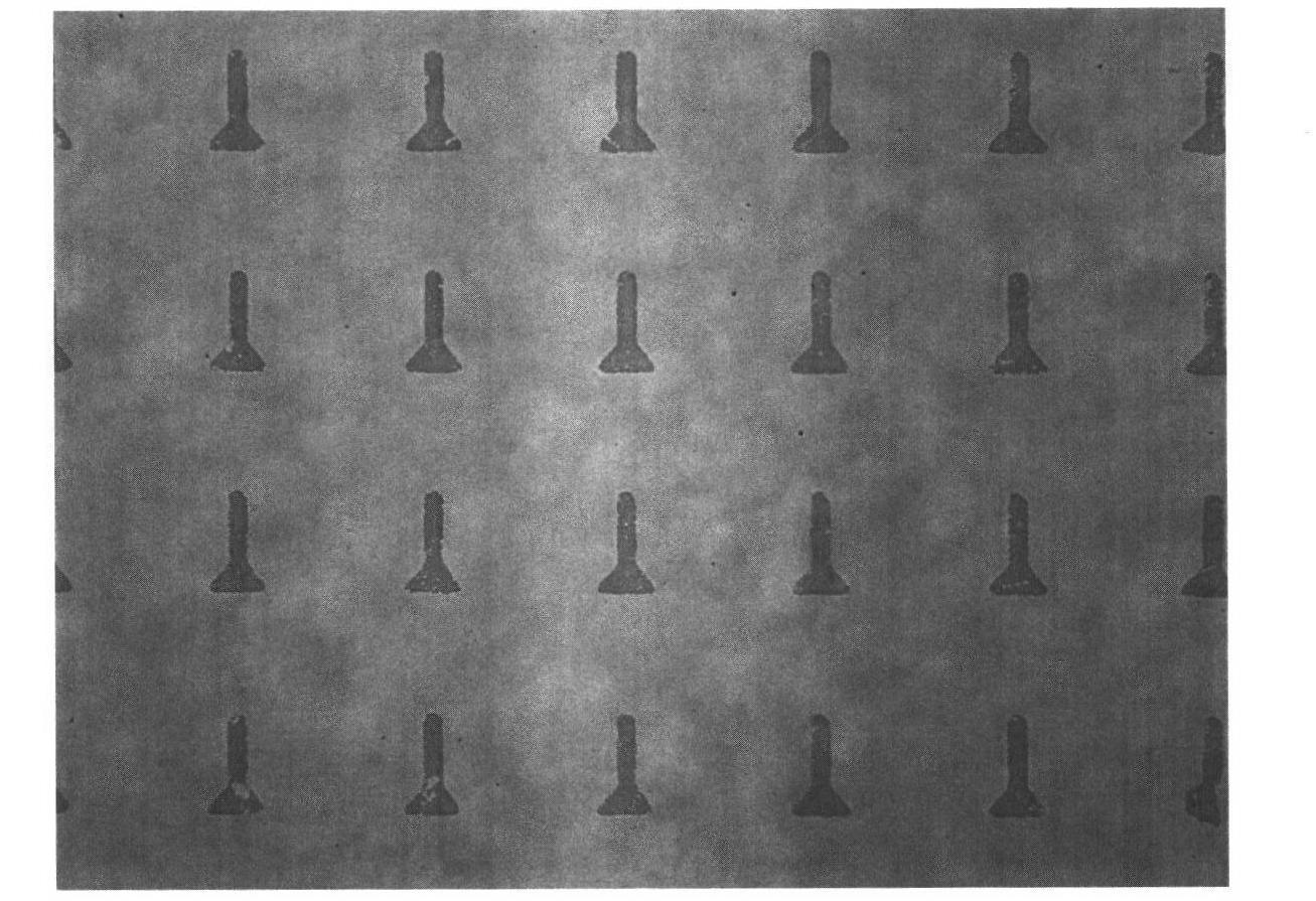 Substrate for cell micropatterning growth as well as preparation method and application thereof