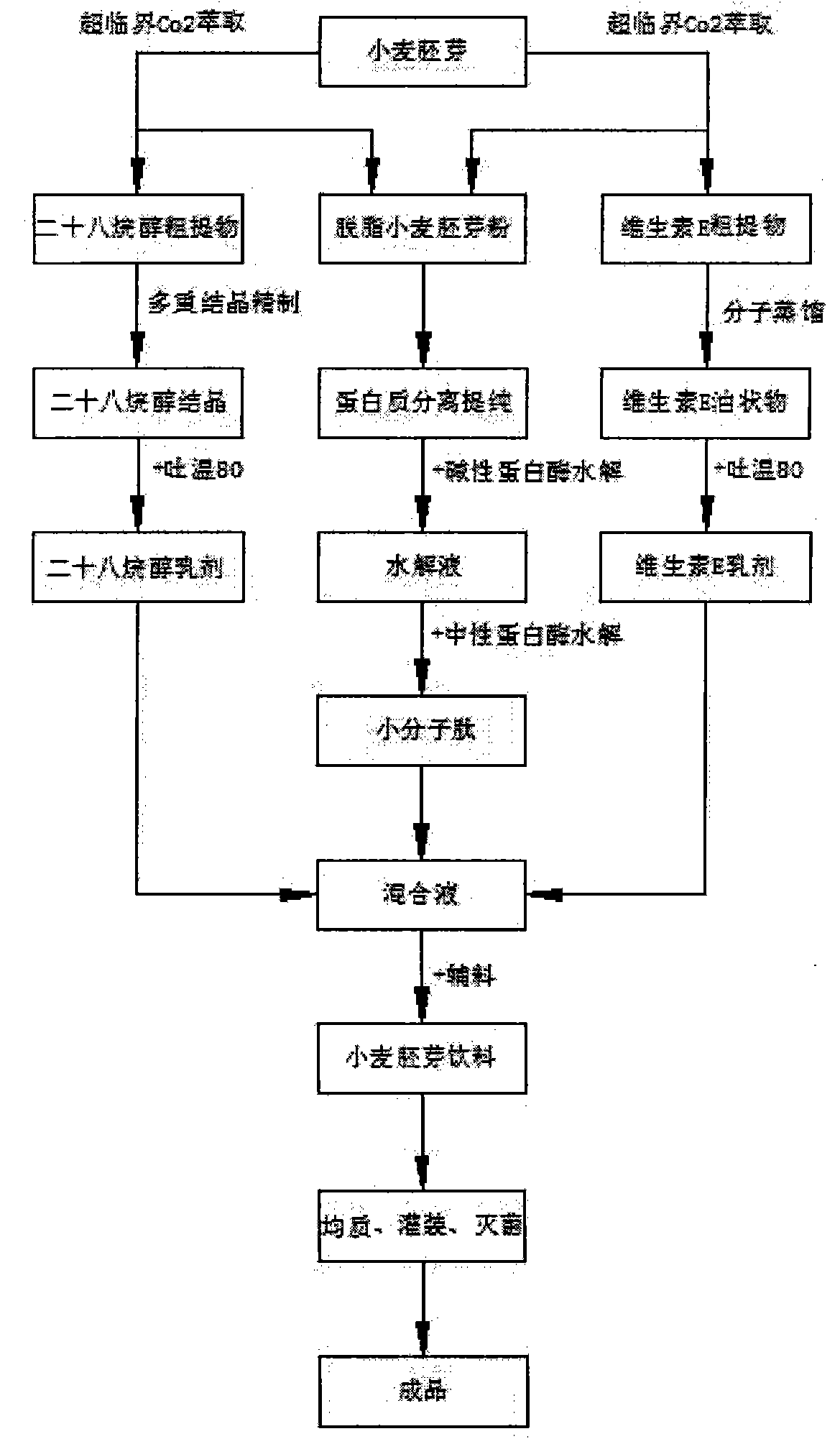 Wheat germ drink and preparation method thereof