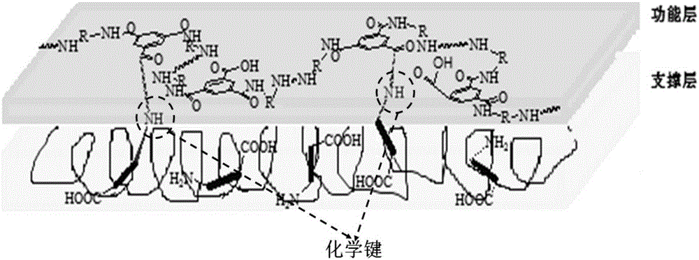 Composite membrane and preparation method thereof