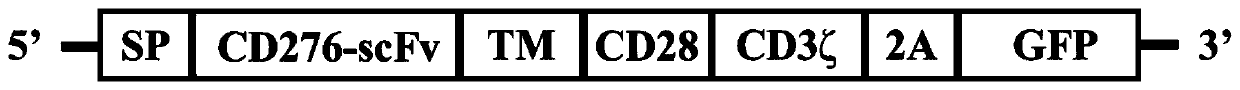 Chimeric antigen receptor based on CD276 antibody, lentivirus expression vector and application thereof