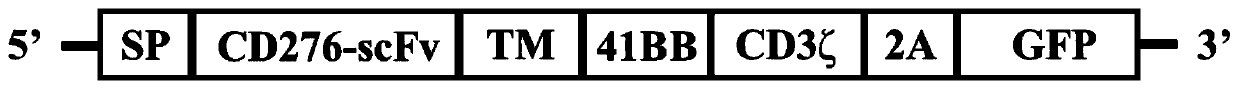 Chimeric antigen receptor based on CD276 antibody, lentivirus expression vector and application thereof