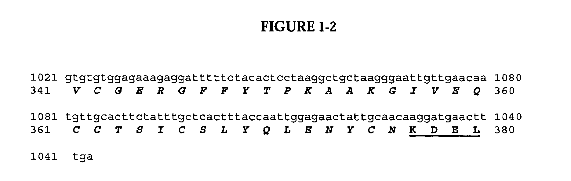 Methods for the production of insulin in plants