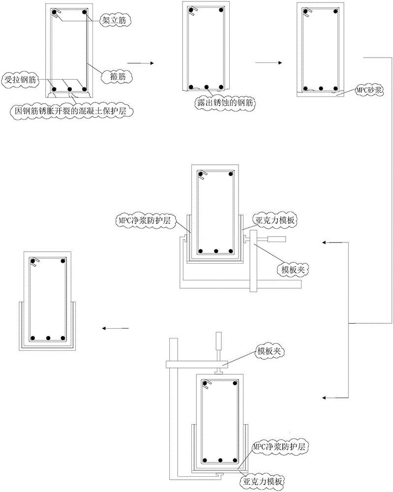 Repairing and protecting layer for reinforced concrete structure body and construction method of repairing and protecting layer