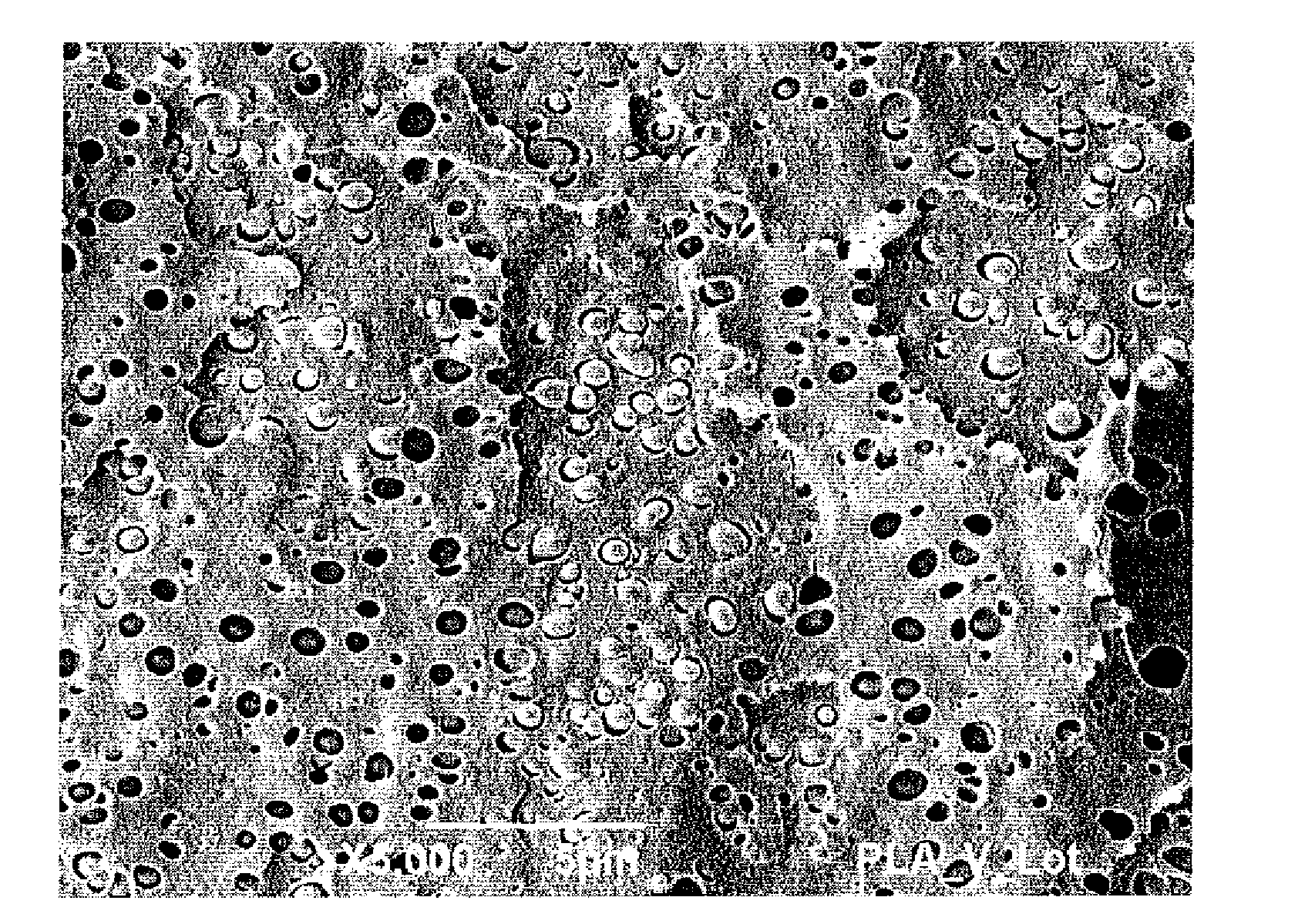 Rigid Renewable Polyester Compositions having a High Impact Strength and Tensile Elongation