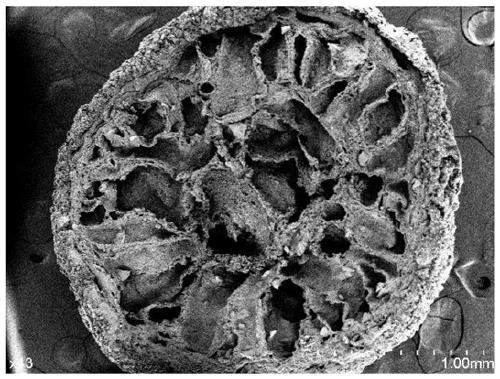 Preparation method of PVA-SA composite immobilized carrier for degrading microorganisms