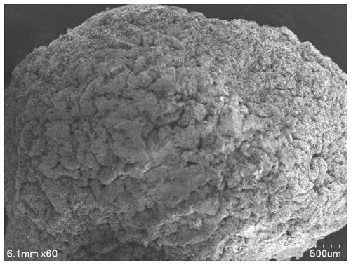 Preparation method of PVA-SA composite immobilized carrier for degrading microorganisms