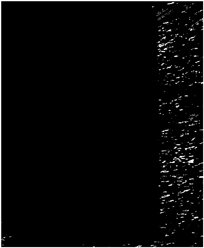 Preparation method of universal chip for detection of protein and nucleic acid by time-of-flight mass spectrometry