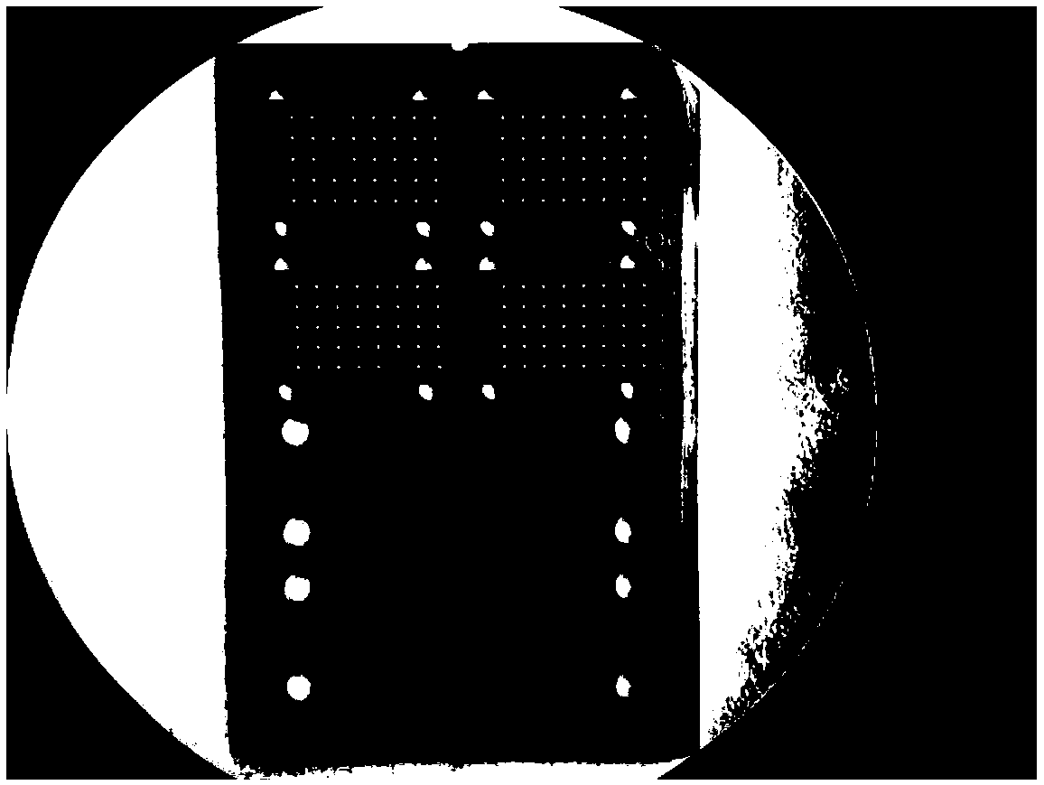 Preparation method of universal chip for detection of protein and nucleic acid by time-of-flight mass spectrometry