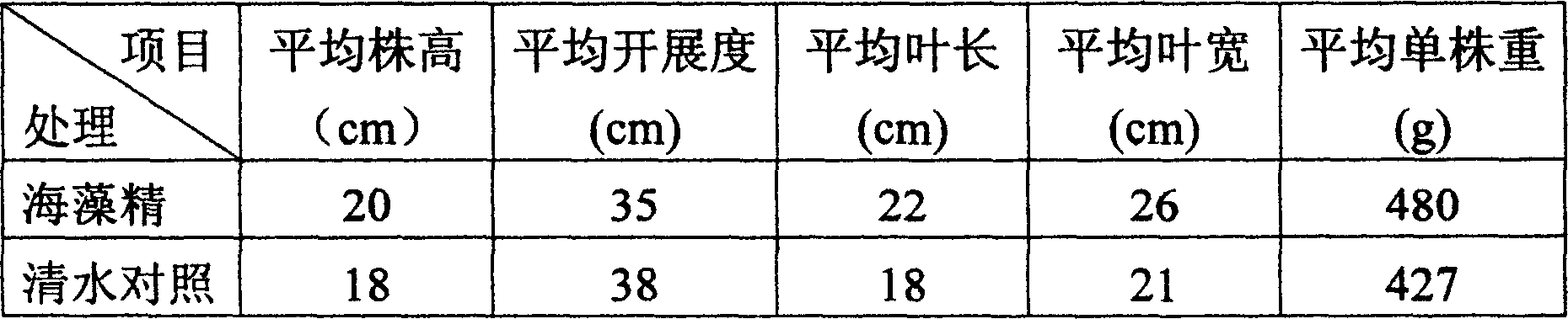 Marine algae extract plant immunity yield increase opsone and preparing method thereof