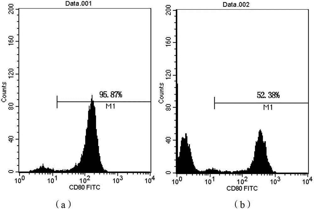 Modified dendritic cell and vaccine containing the same