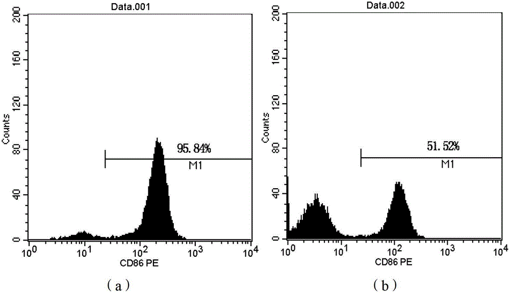 Modified dendritic cell and vaccine containing the same