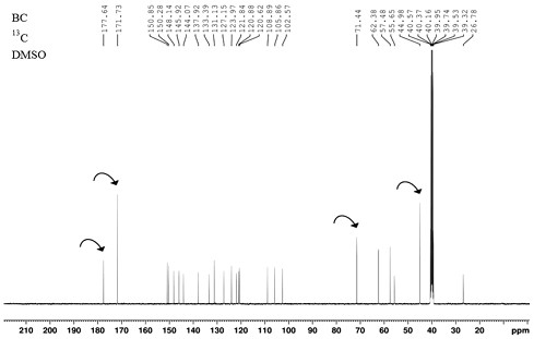 A natural hypoglycemic agent that can improve bioavailability and avoid hyperchloremia