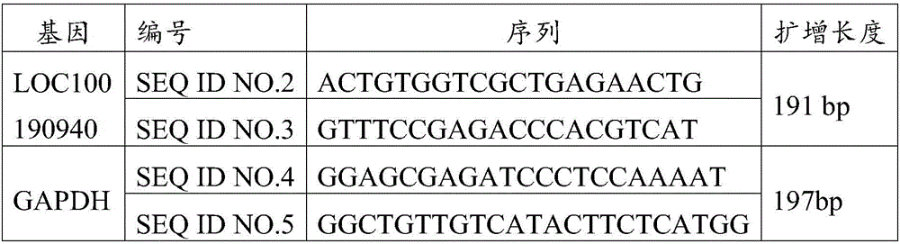 Molecular marker related to prostate cancer and applications of molecular marker