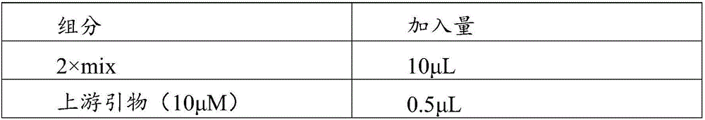 Molecular marker related to prostate cancer and applications of molecular marker