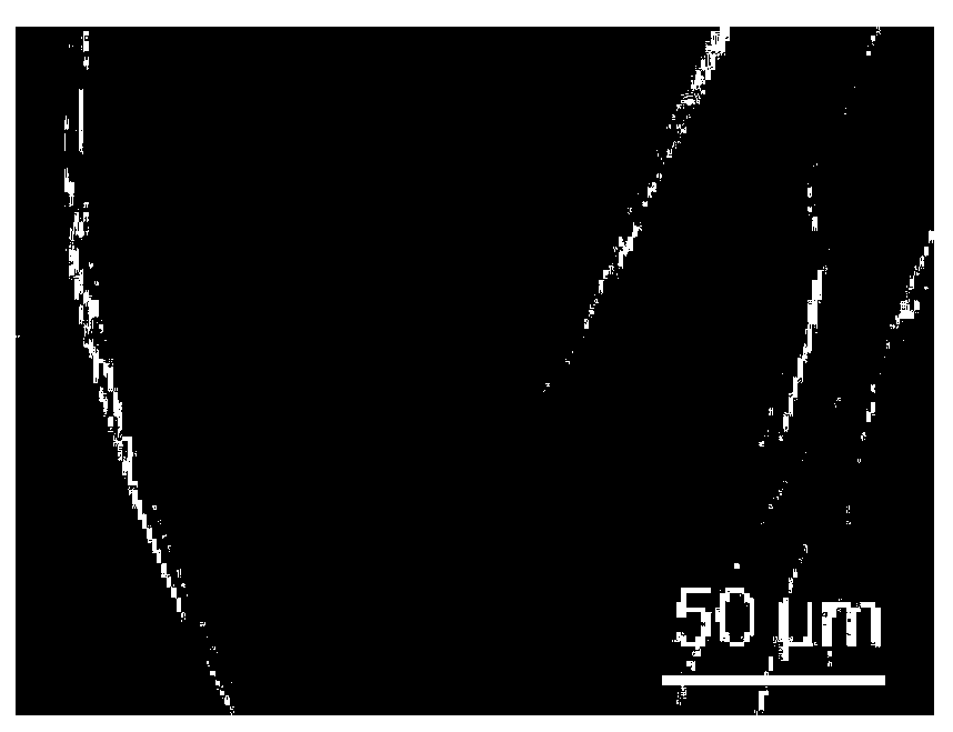 Method for preparing biomass base film by taking strip-shaped graphene oxide as binder