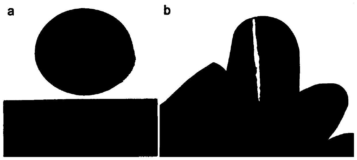 Method for preparing biomass base film by taking strip-shaped graphene oxide as binder