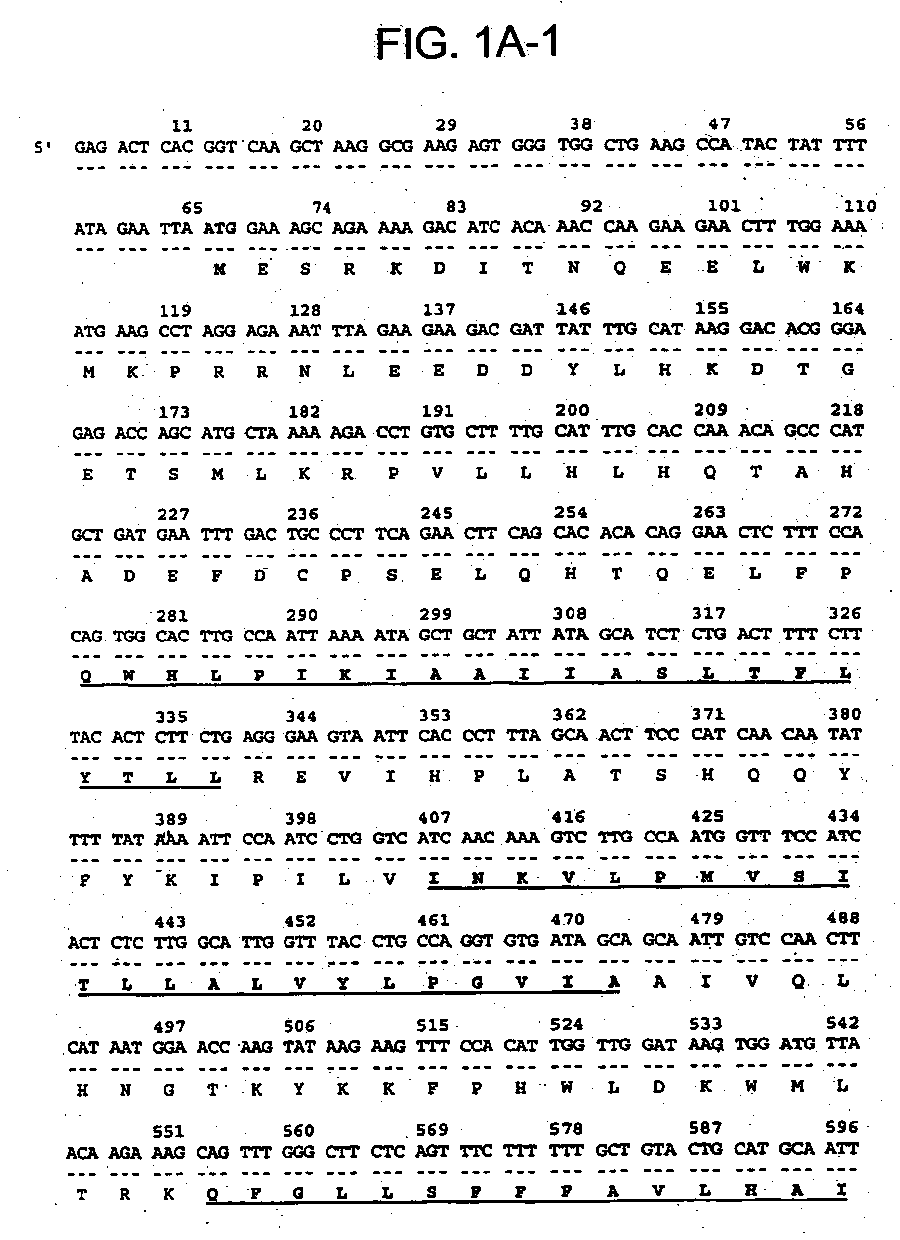 Novel serpentine transmembrane antigens expressed in human cancers and uses thereof